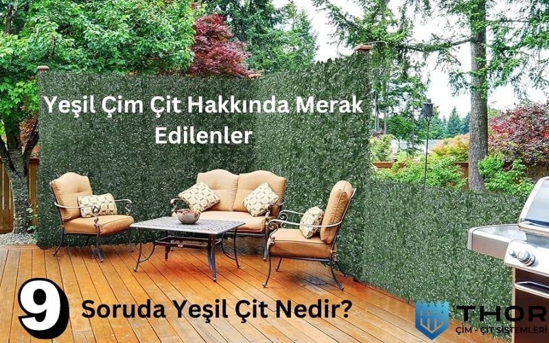 yeşil çim çit hakkında merak edilenler